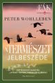 A természet jelbeszéde / Peter Wohlleben